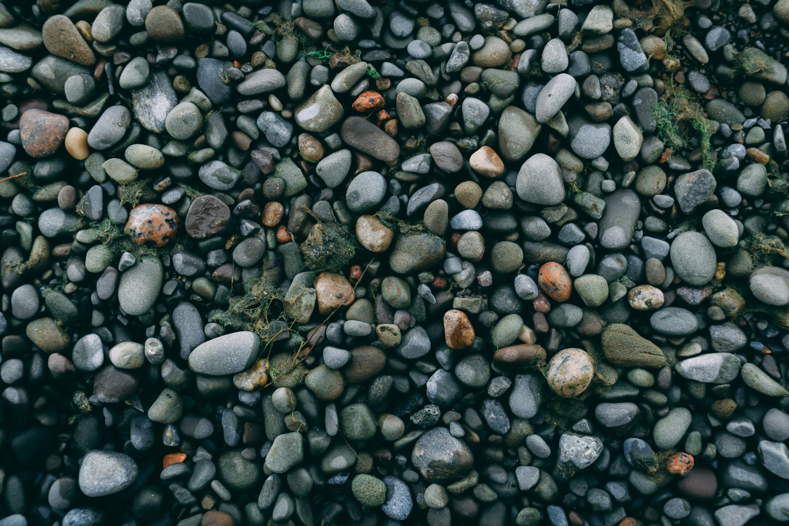 francis naung l81jd4aim84 unsplash scaled.jpg